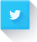 Twitter image button